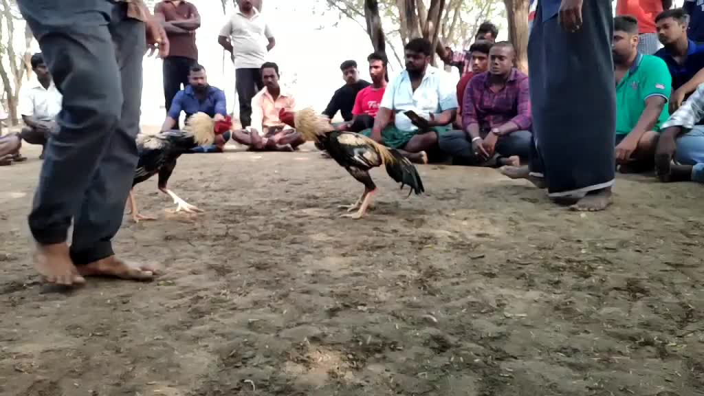 @Dilli Vinoth