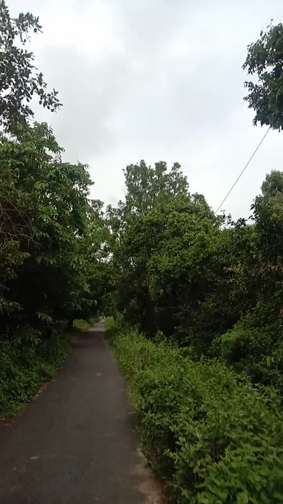 @Bikram Sahoo