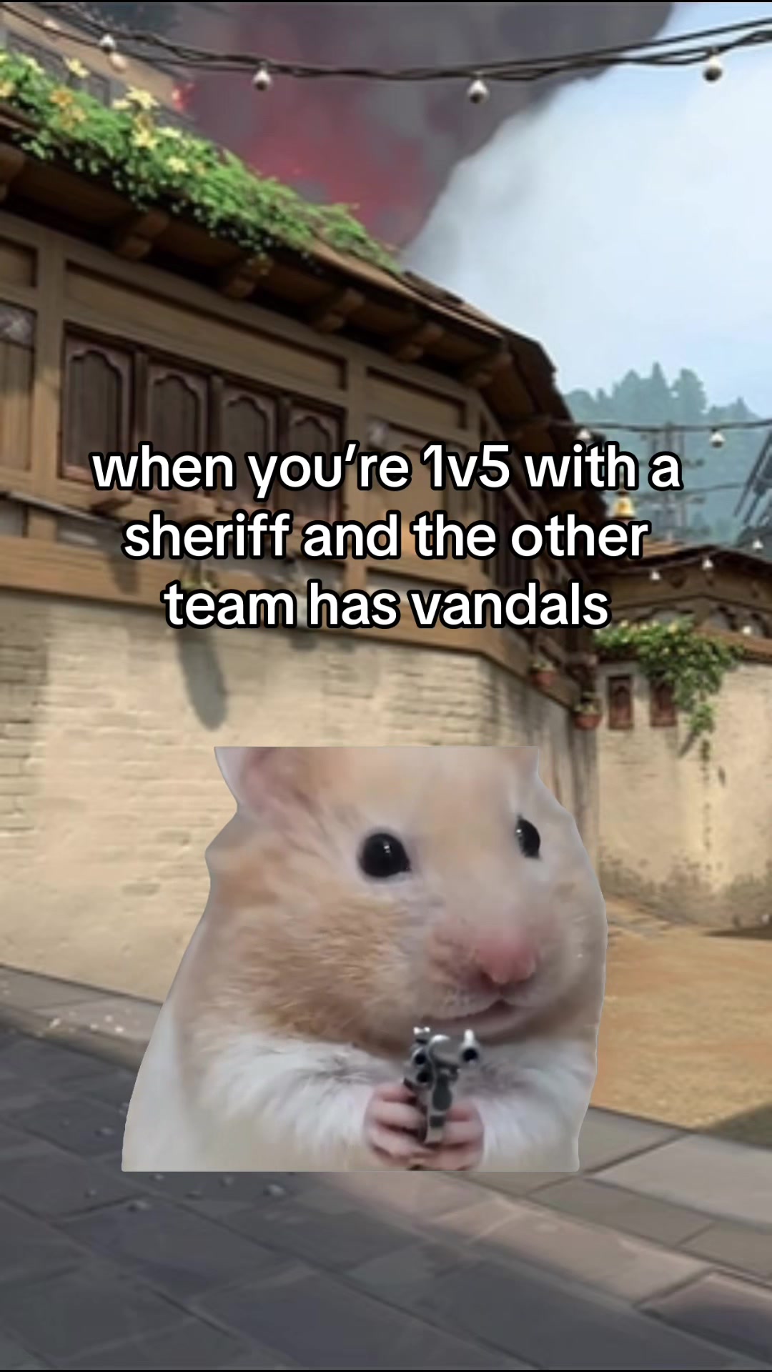 @christy