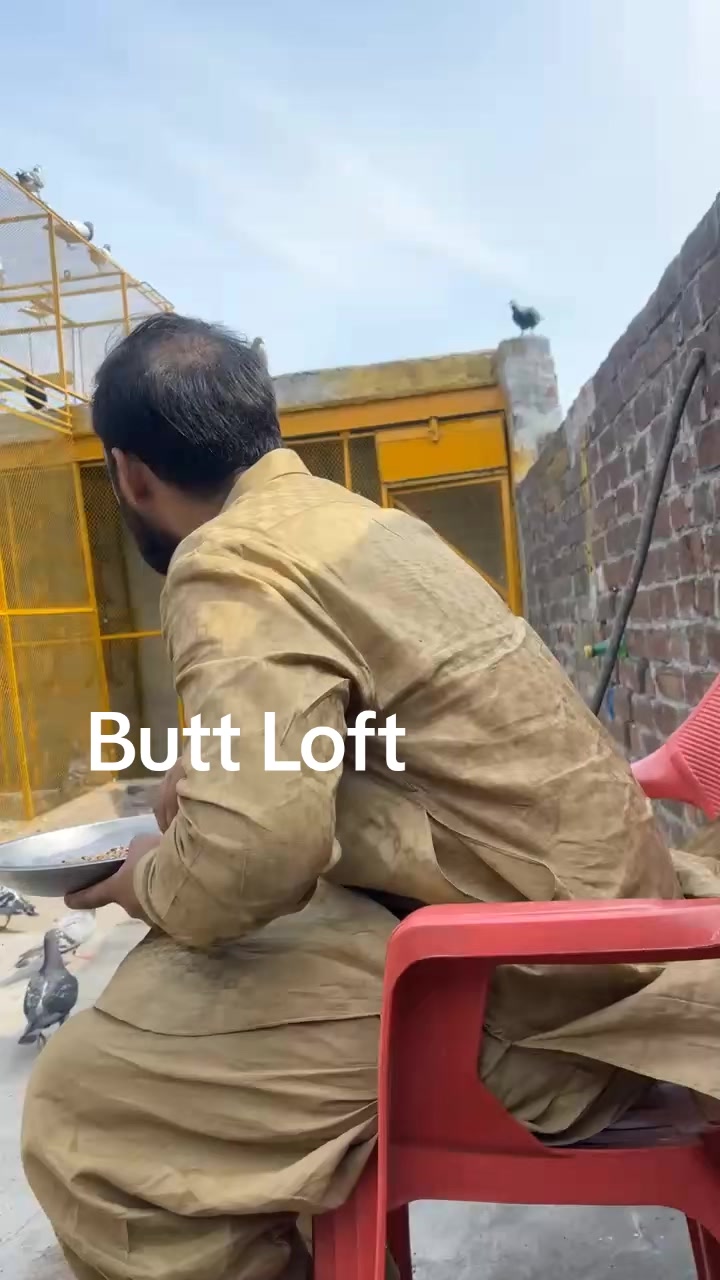 @Adilbutt
