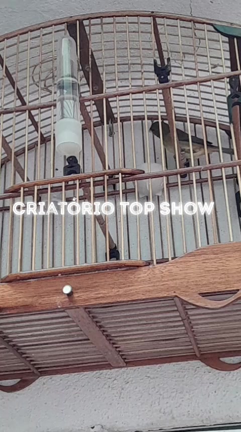 @criat&oacute;rio Top show