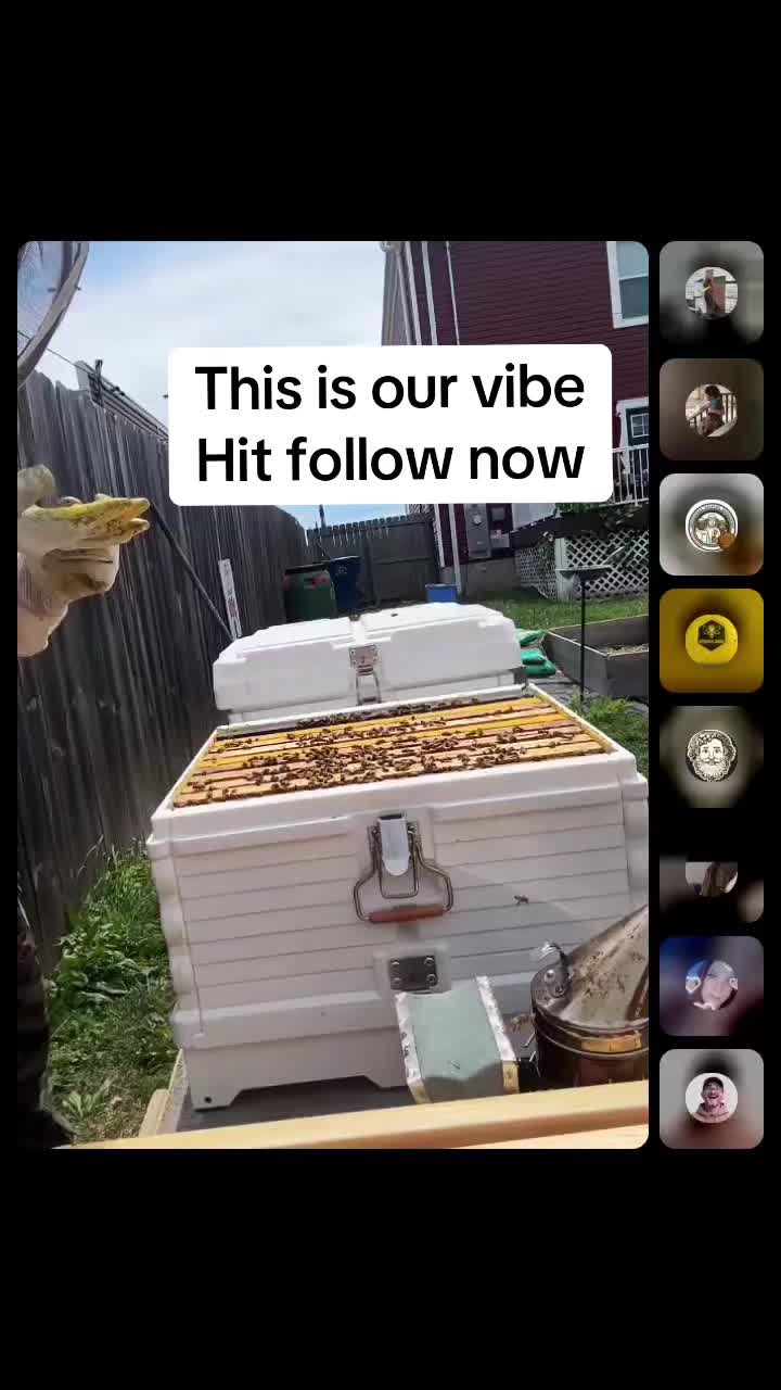 @DivaKBees🐝🐝🐝