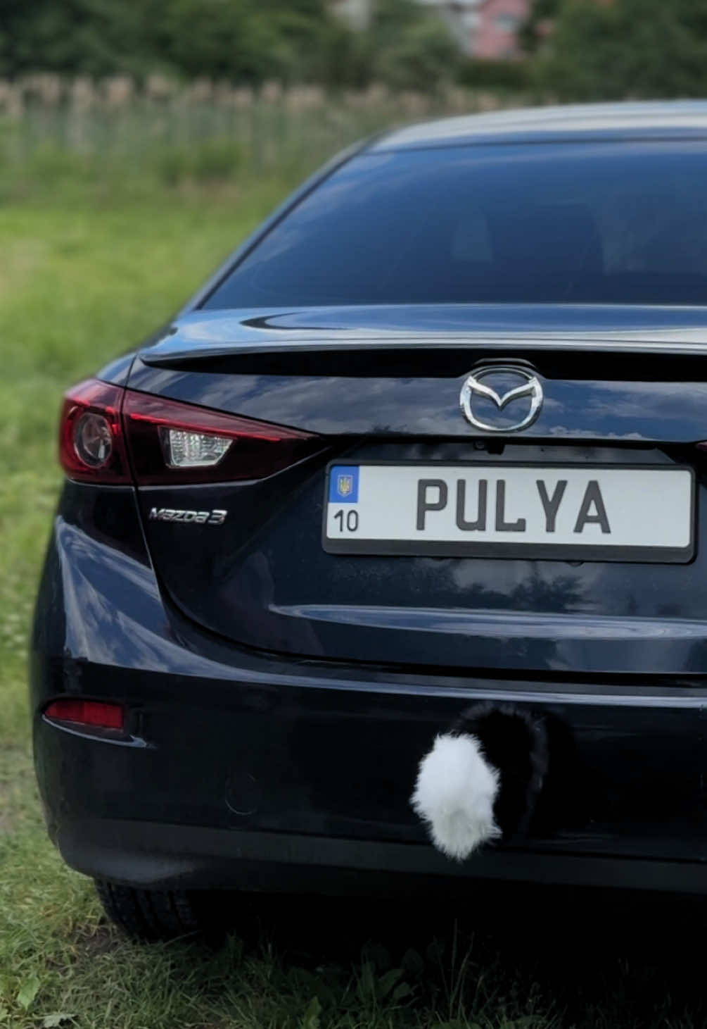 @Пулька 🚀