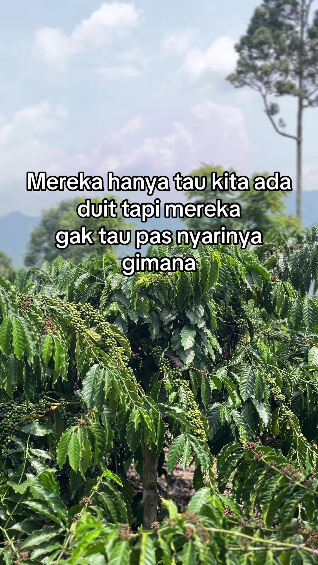 @Prof ☕️ MILENIAL