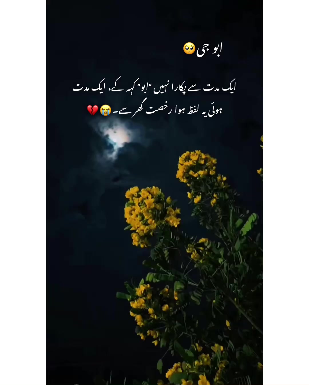 @⚜️𝐊𝐇𝐎𝐊𝐇𝐀𝐑❤️&zwj;🩹