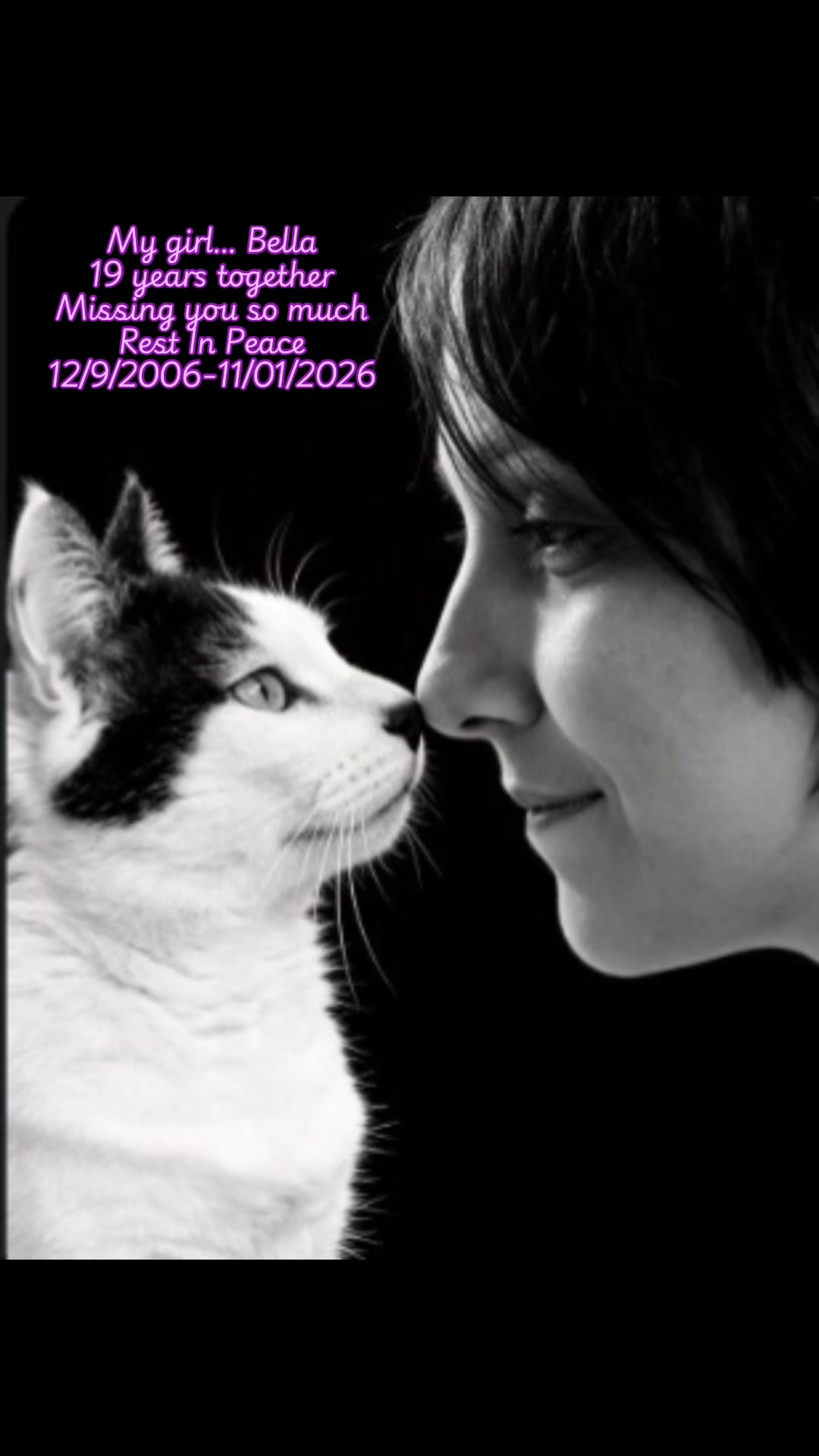 @Romina.cuddle.catclub