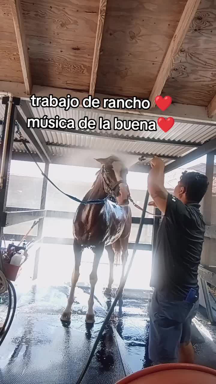 @EdgarR_Martinez
