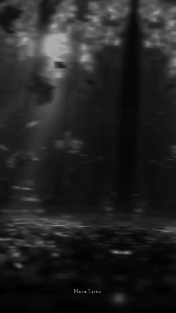 @ᴍᴜꜱɪᴄ ʟʏʀɪᴄꜱ
