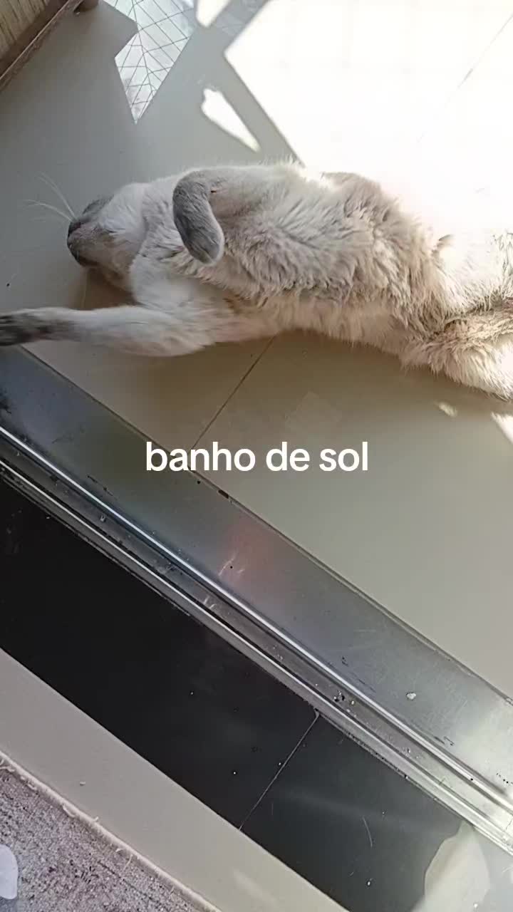 @cissarossato🍒😻