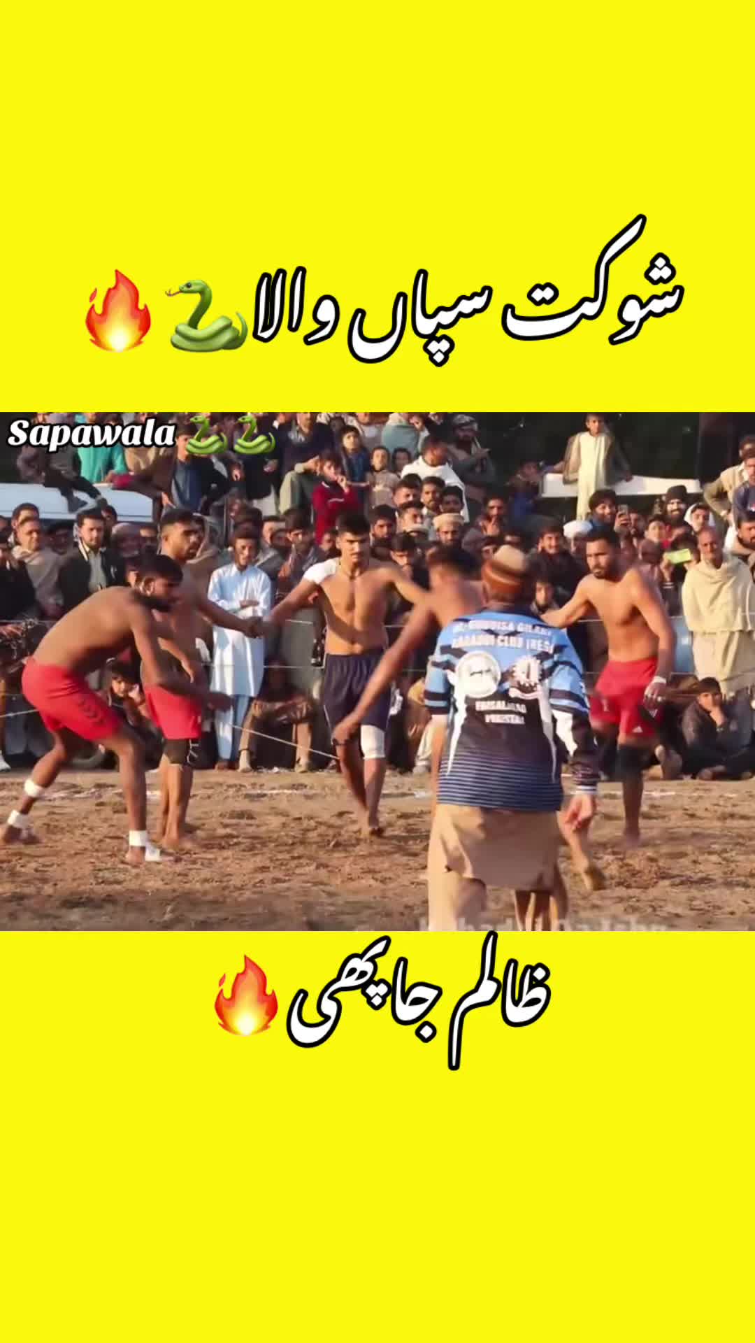 @Shokat sapa wala 🐍🐍