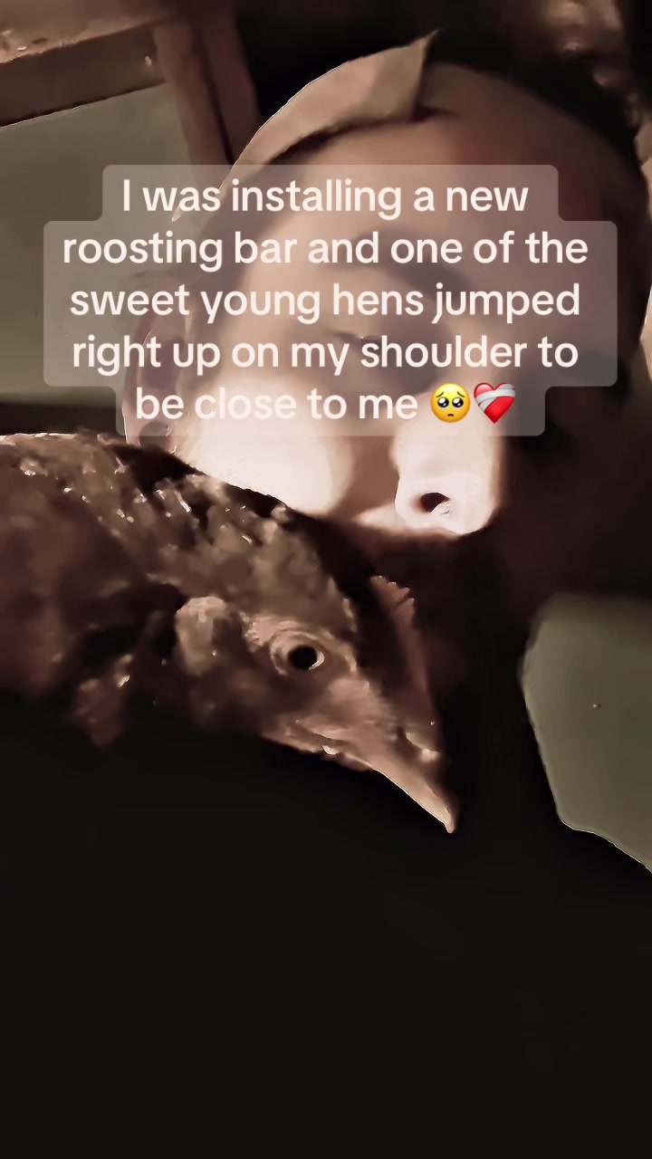 @A&ensp;Ł&ensp;E&ensp;x&ensp;&ensp;&ensp;K&ensp;E&ensp;N&ensp;C&ensp;H&ensp;E&ensp;Ł