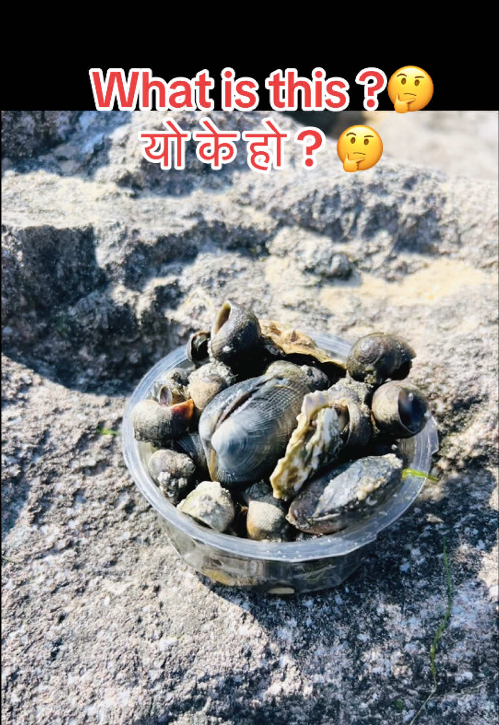 @bharatkumarkarkee