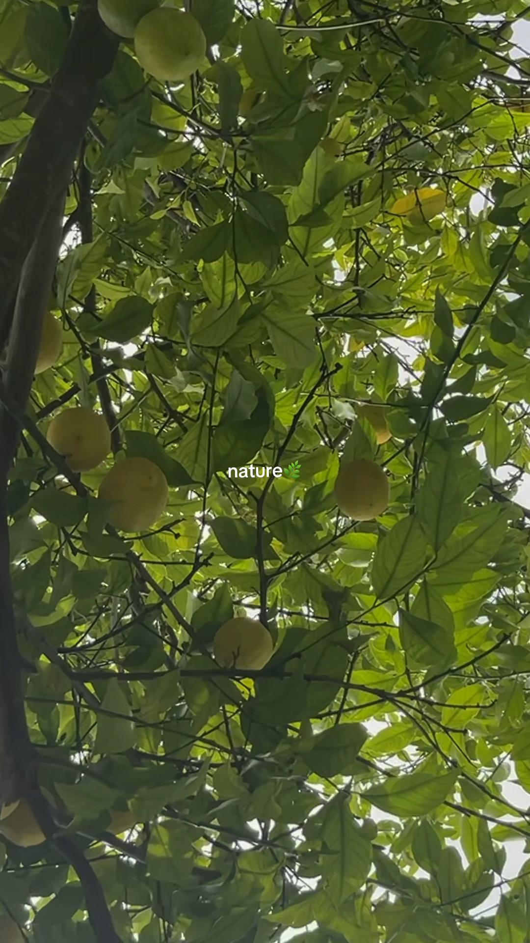 @💎🦋MERYAM🦋💎