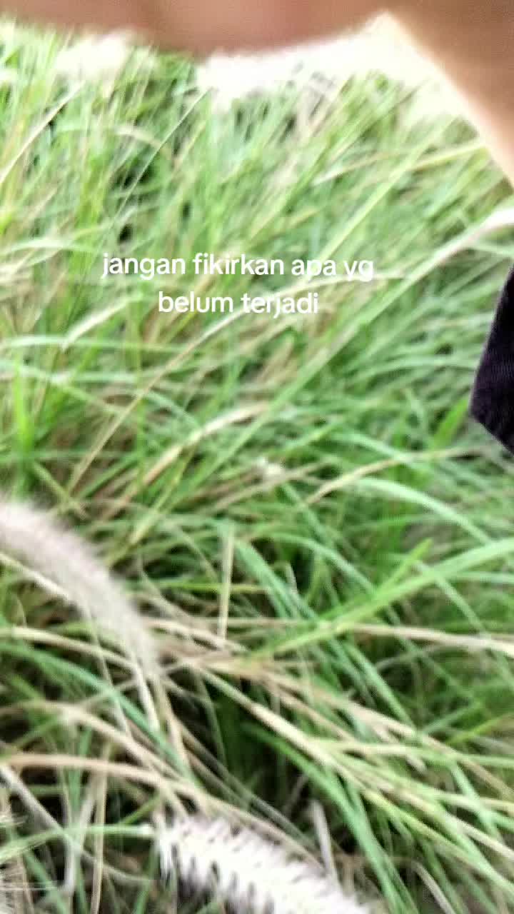 @dhesri73