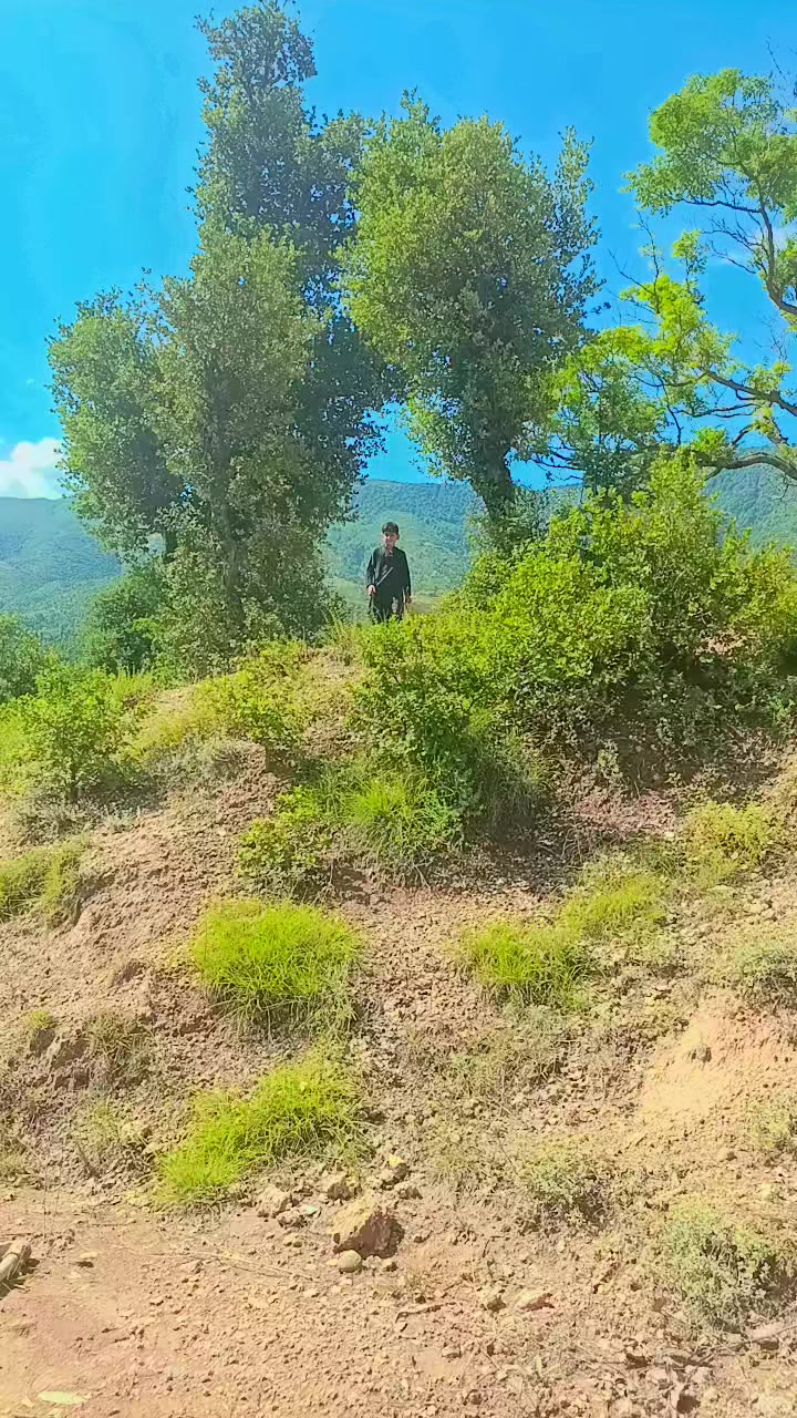 @asilzada