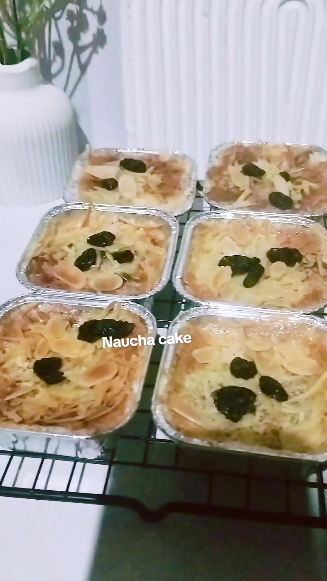 @Naucha_nn🕊