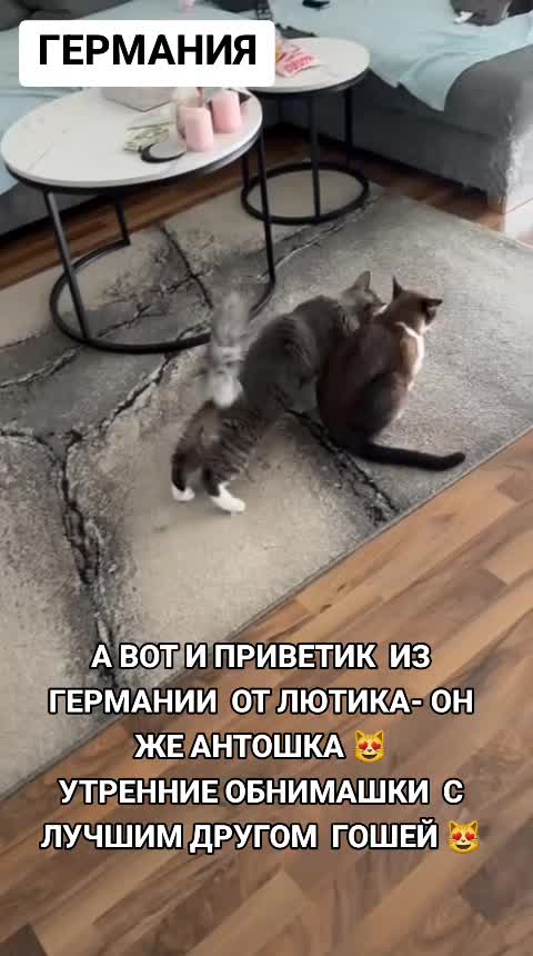 @marinka20_09