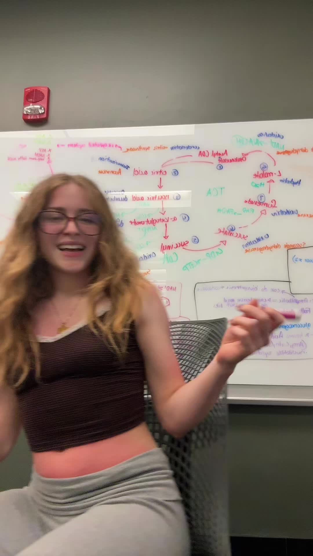 @lanilani