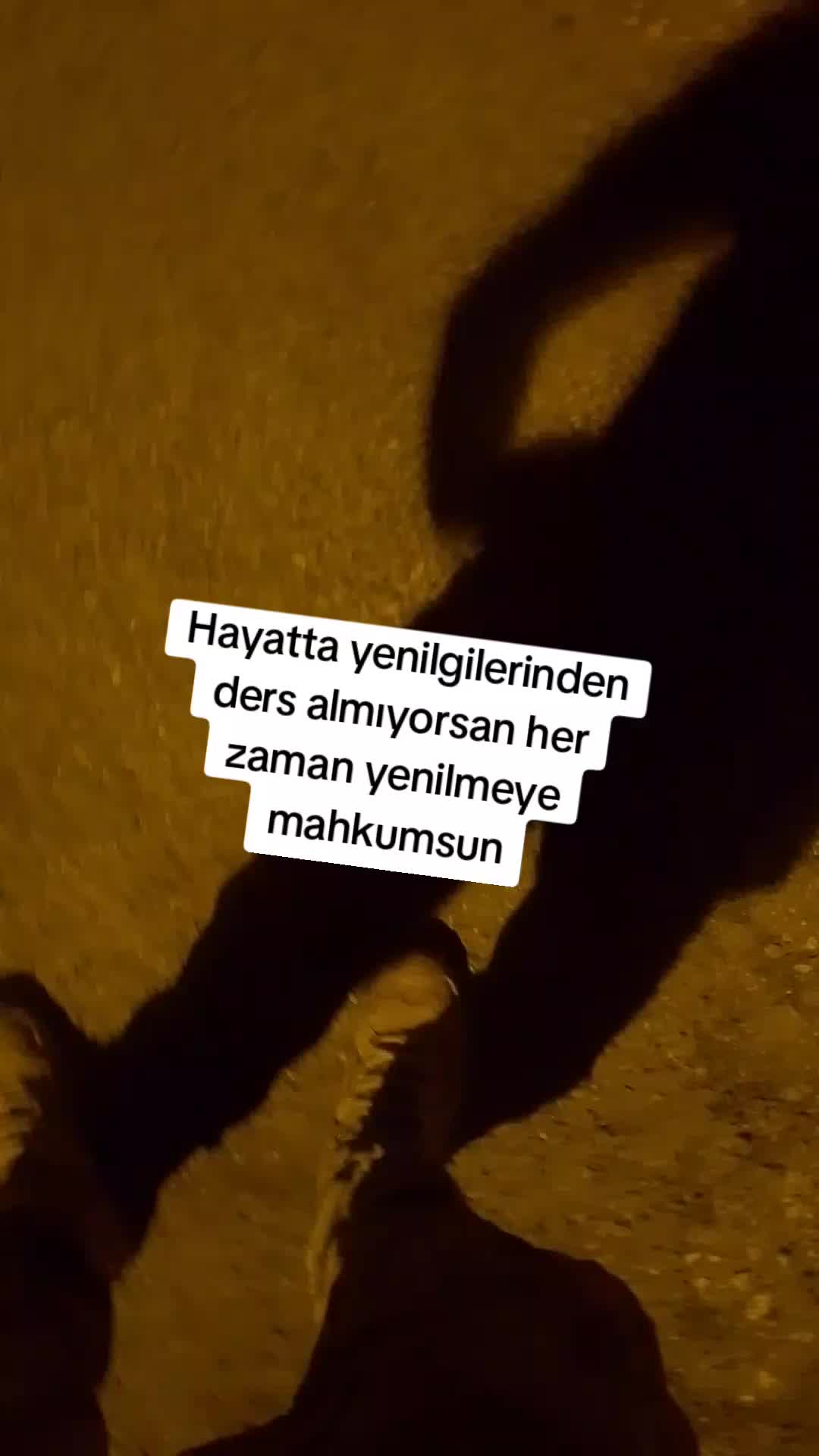 @sakarya_fırat_🇹🇷