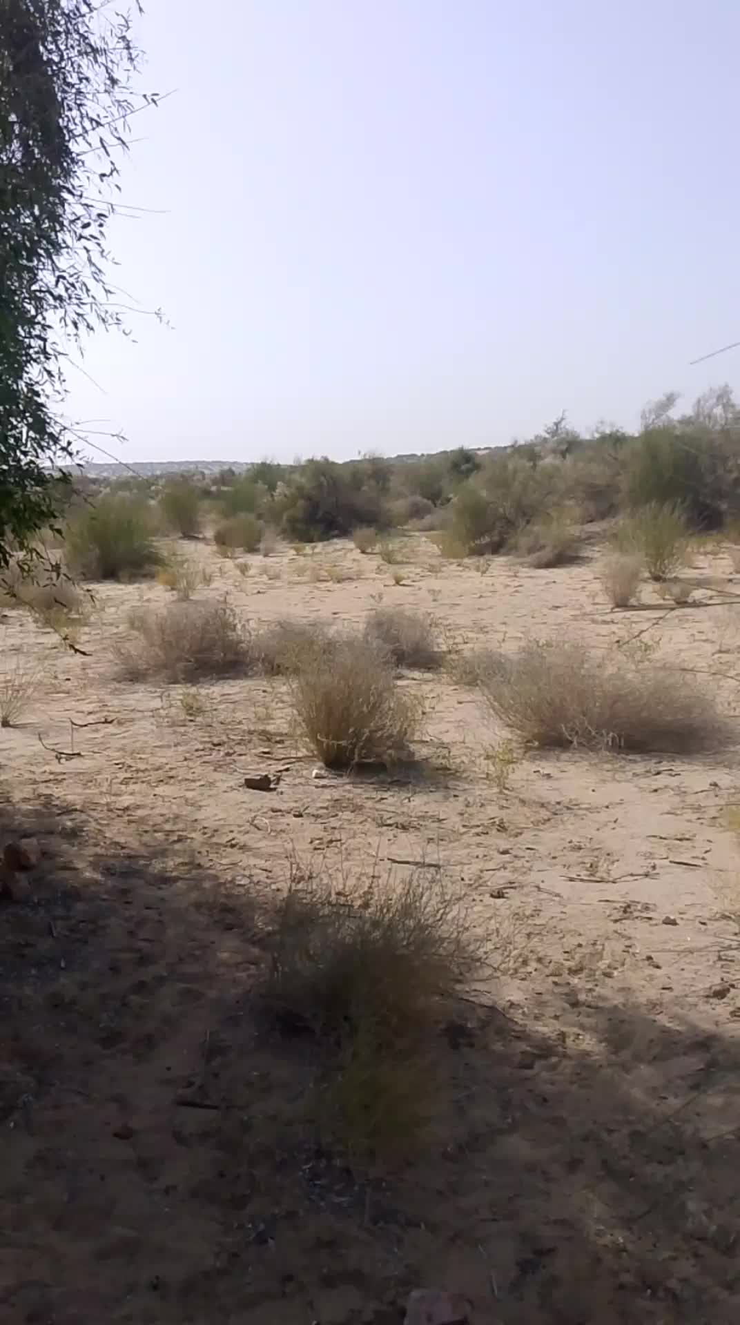 @akram raja