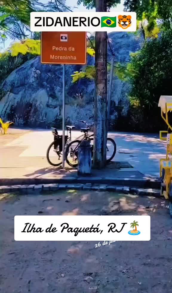 @ZIDANE_RIO🇧🇷🐯