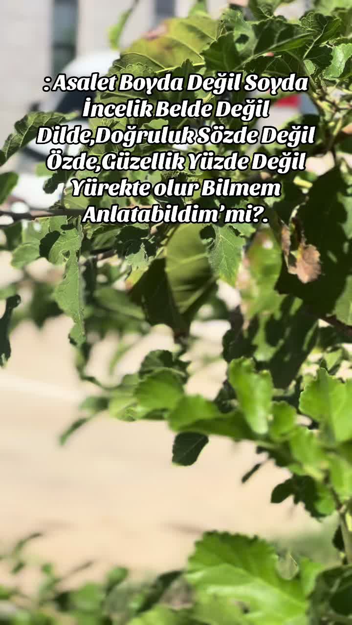 @İbrahim &Ccedil;akar