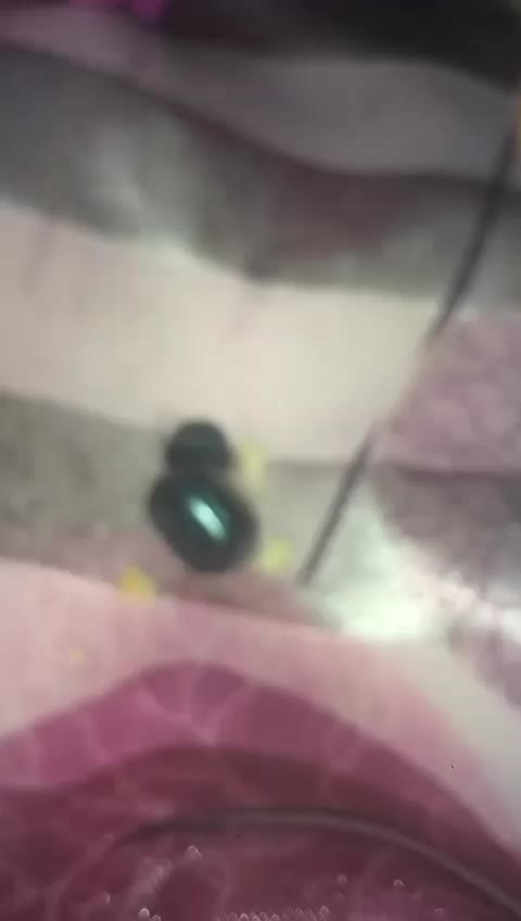 @โฌ๐๐พ๐ถ๐๐ถ๐ถ