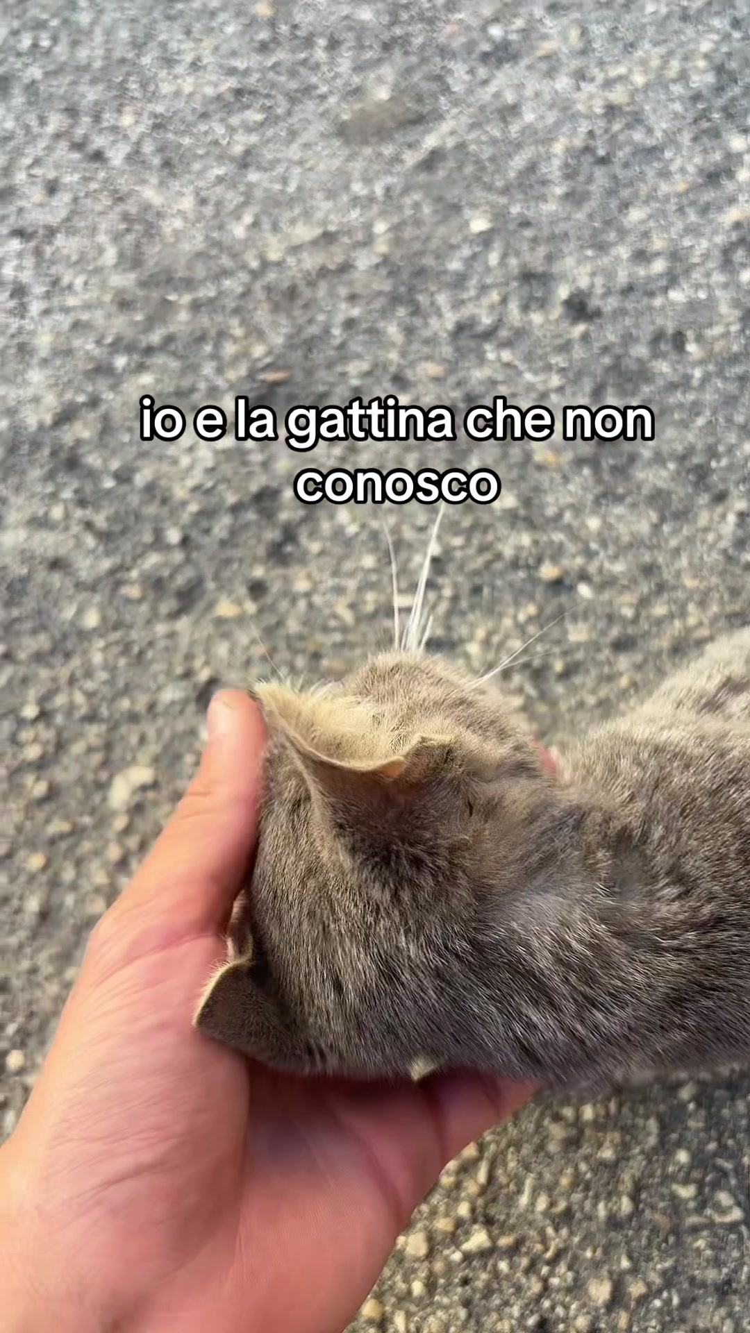 @cro🫧