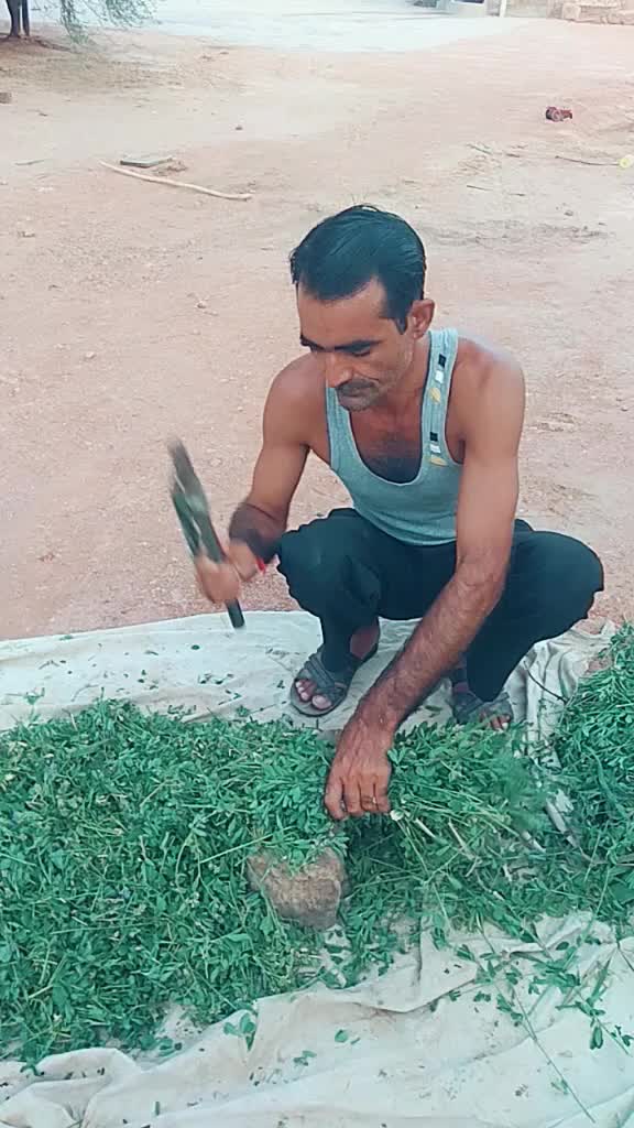 @Lakha Jat