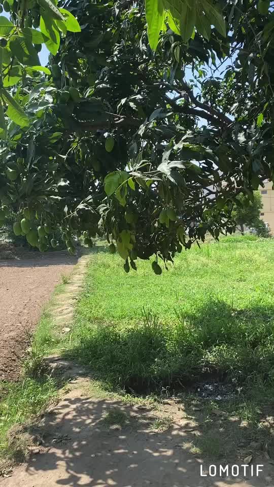 @Officialtanishqsharm