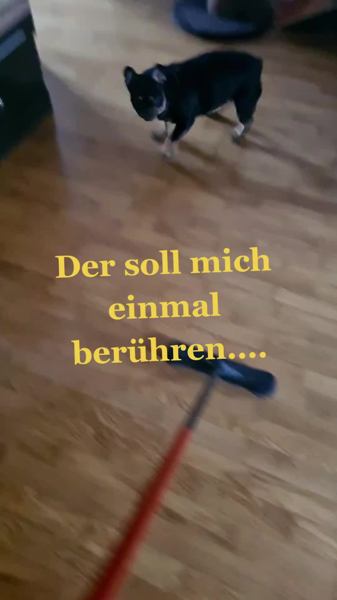 @Angela Wiertz