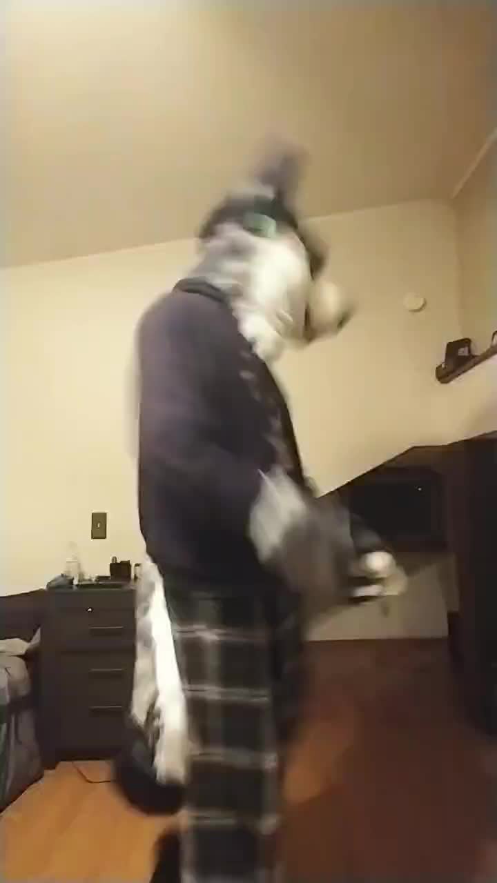 @Ryker_Mutt