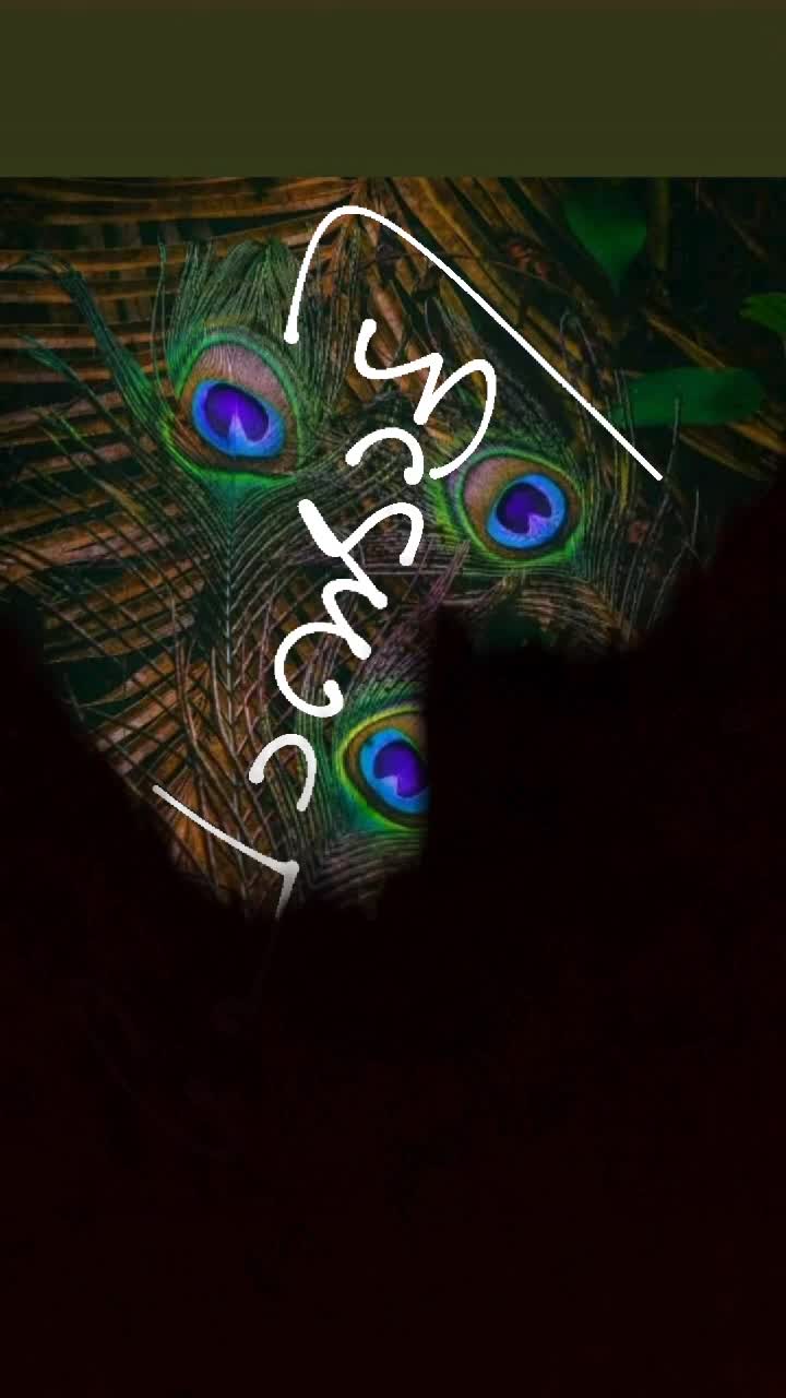@sonyjobson