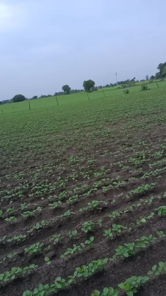 @deepakpagalbhopali