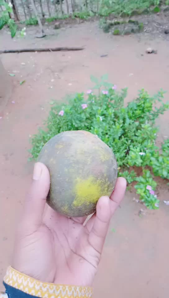 @sudhir Yadav