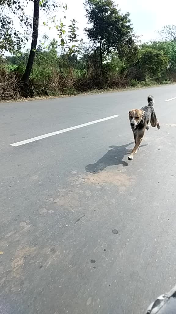 @Akhil akhi