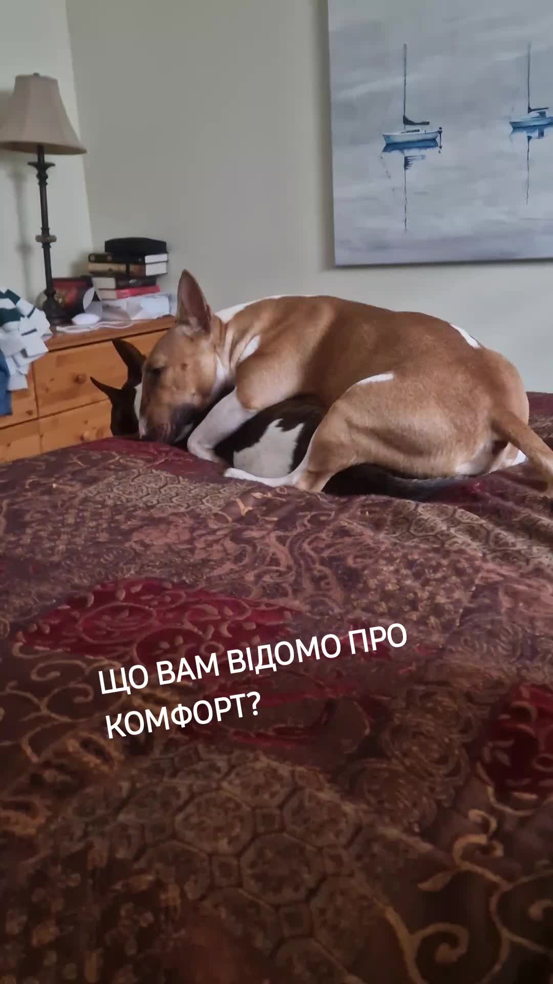 @RUA ATHA KENNEL