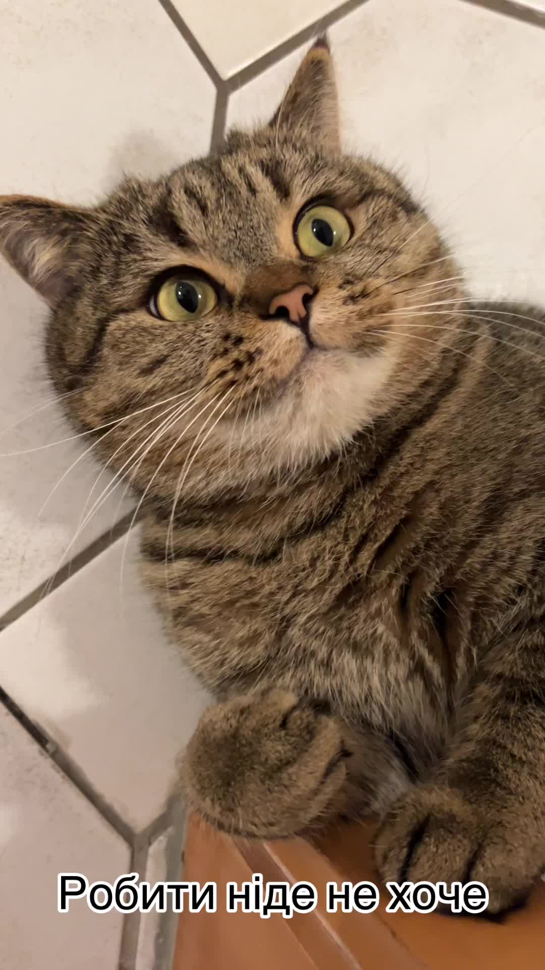 @Джоні 😻
