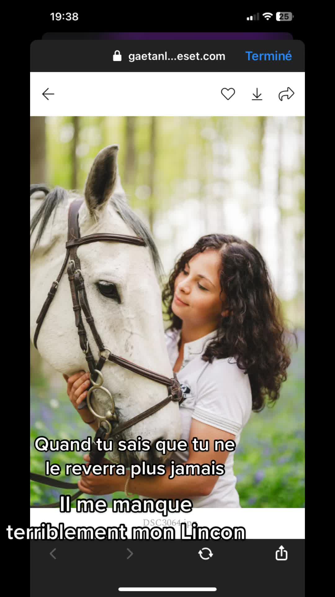 @juliette