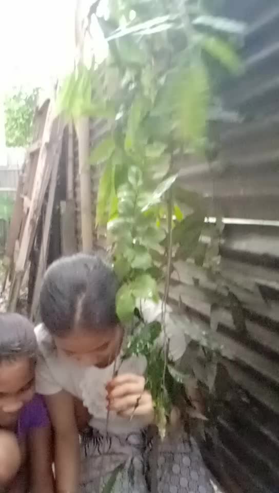 @Manasi saharia