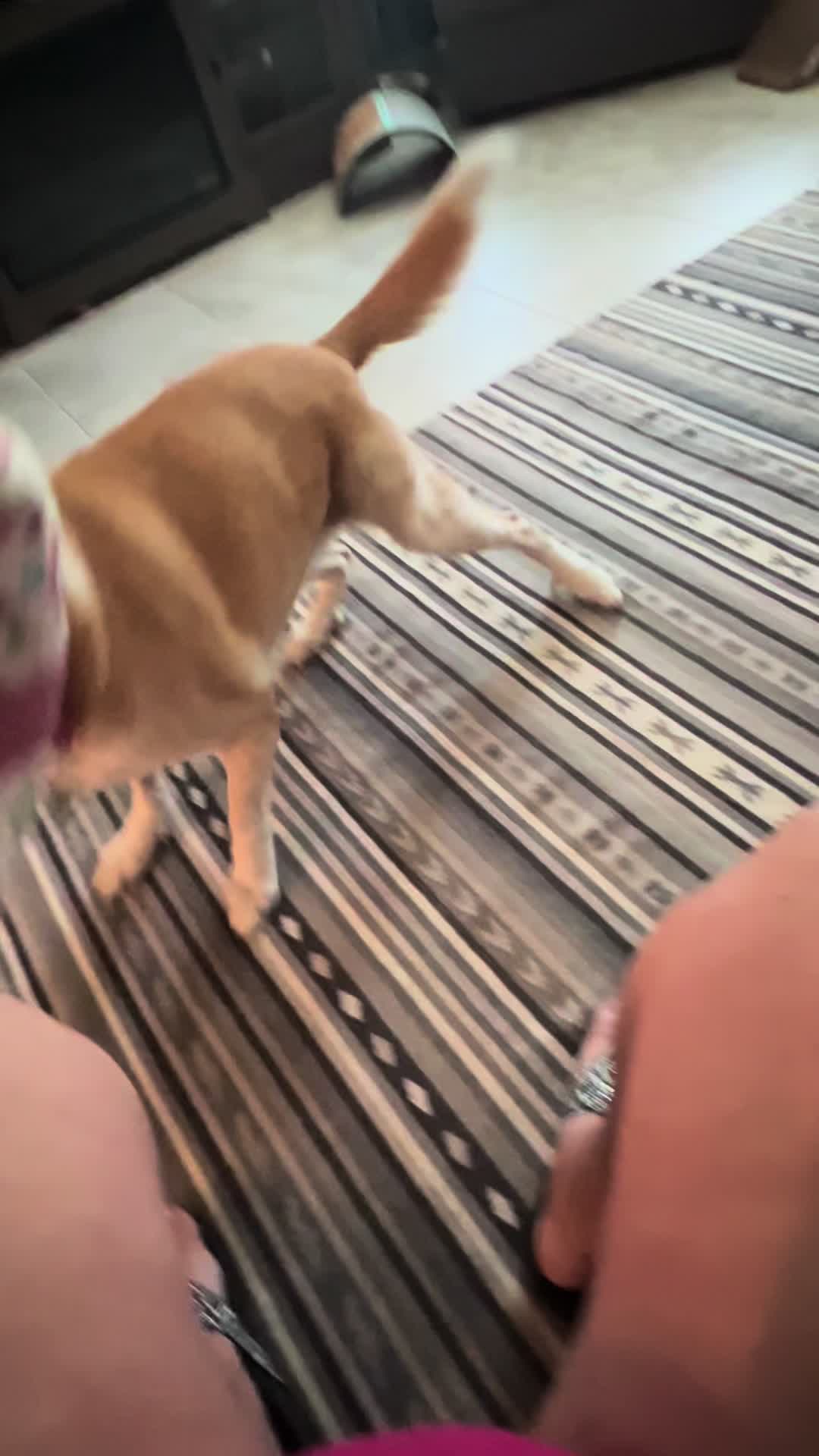 @Legzz29