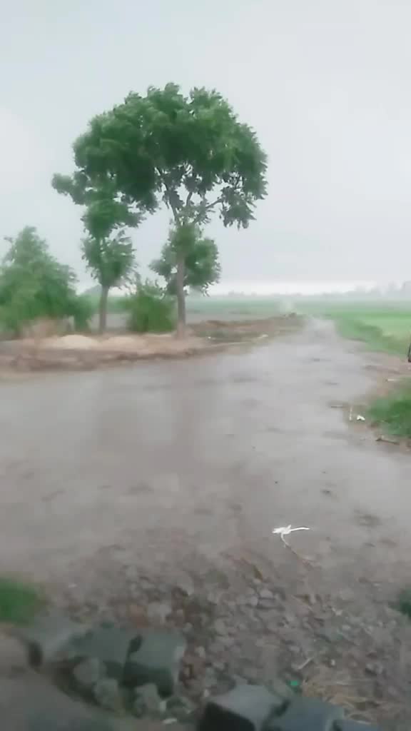 @Manoj Jaat640