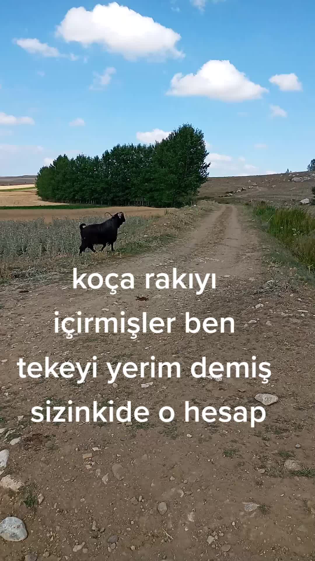 @Ebubekir Kılıç