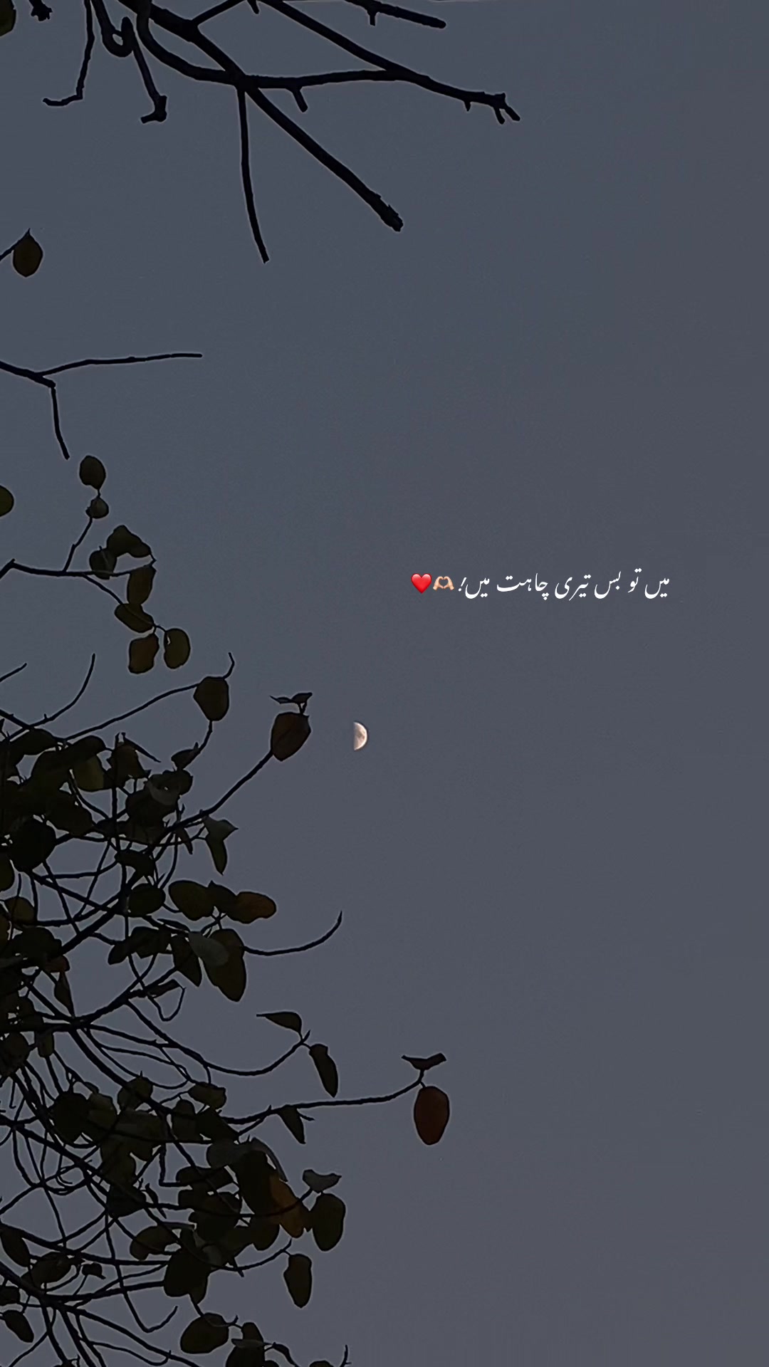 @11.11