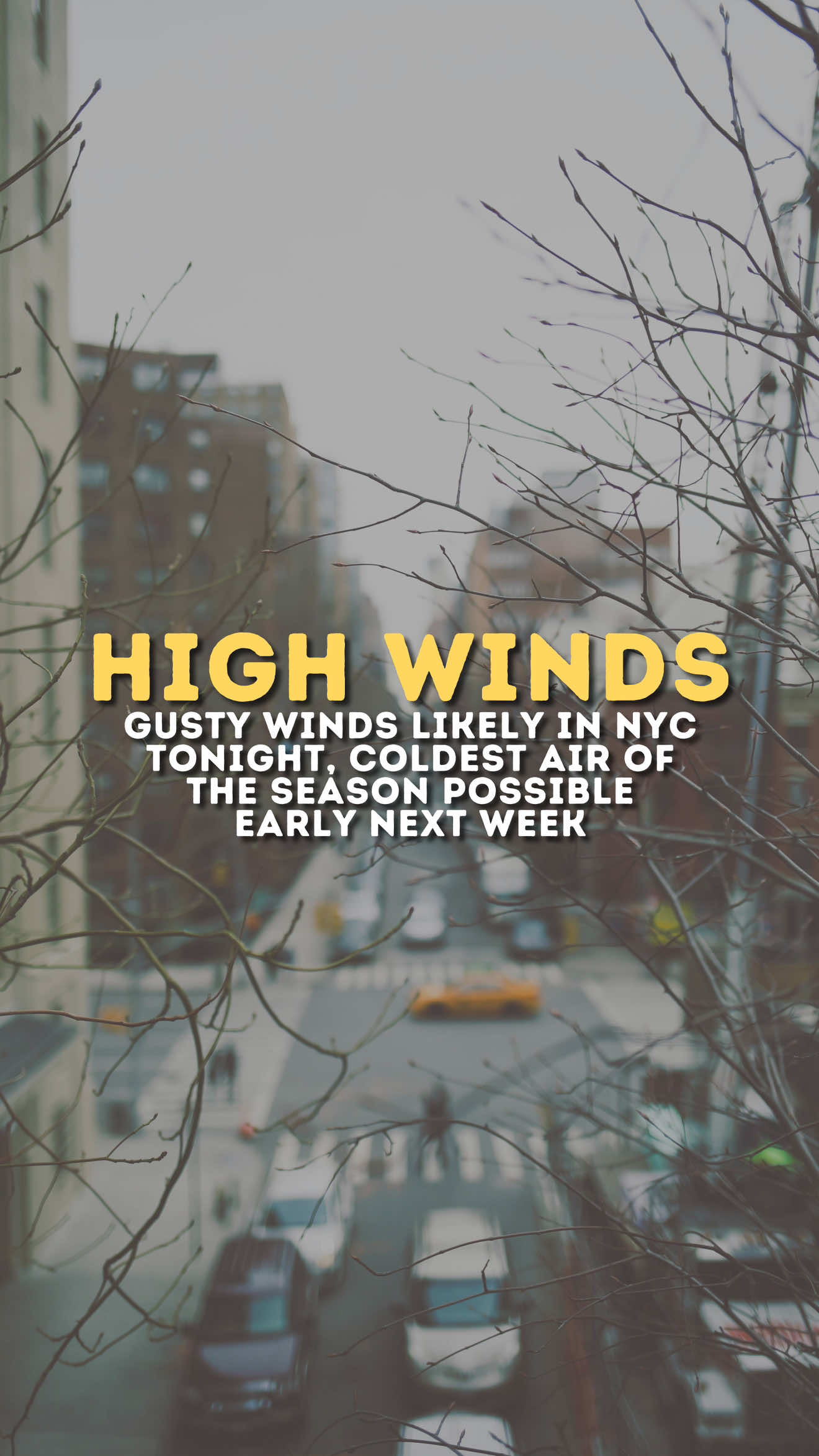 @New York Metro Weather