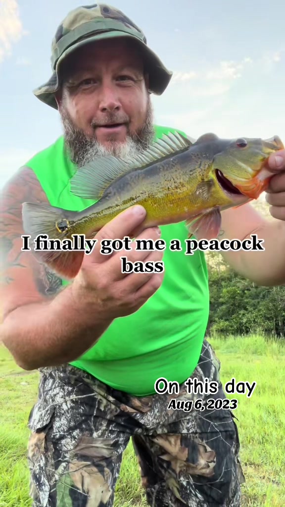 @Dale