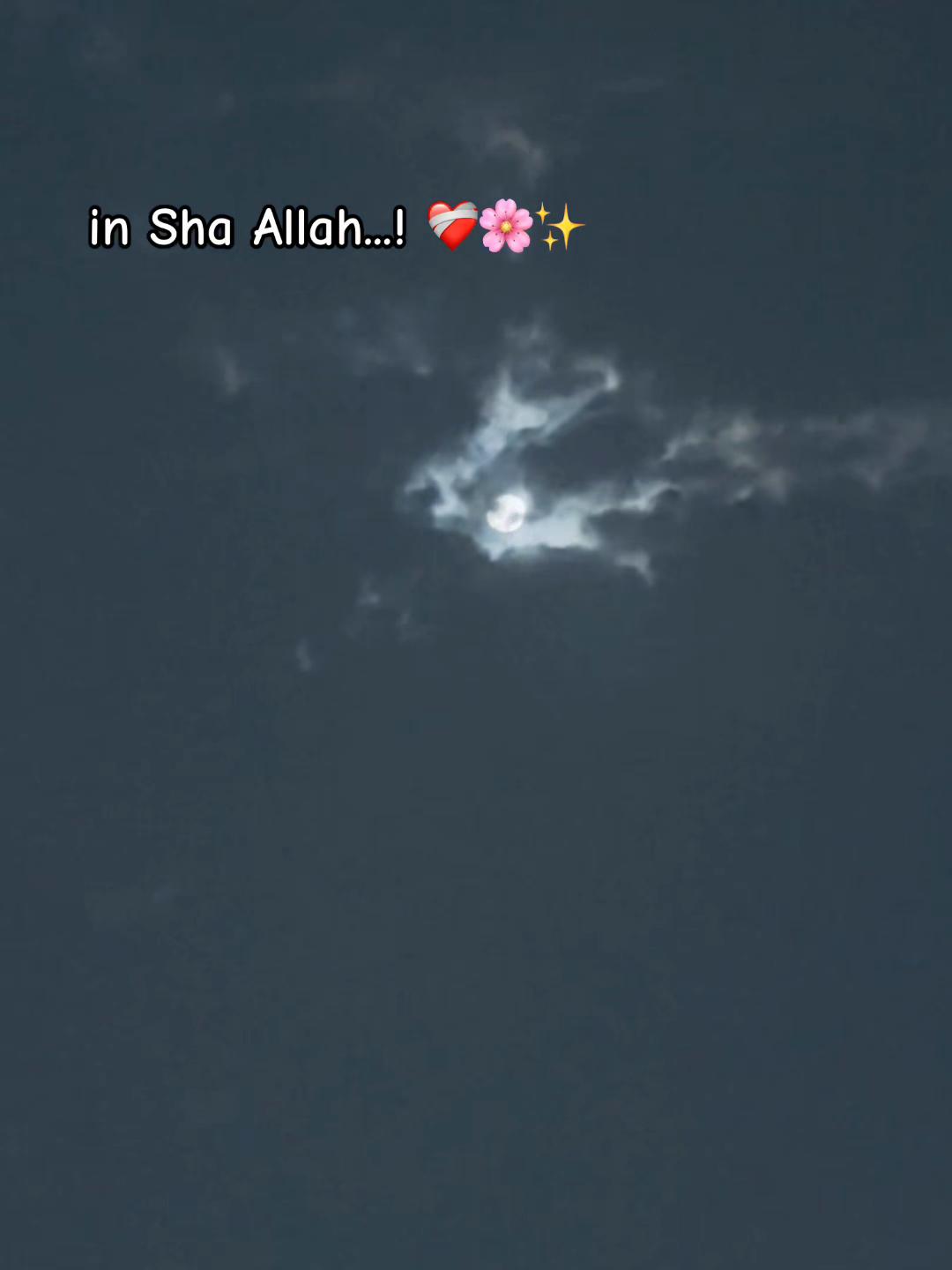 @🇰🇼F_A_R_U ✨🌸