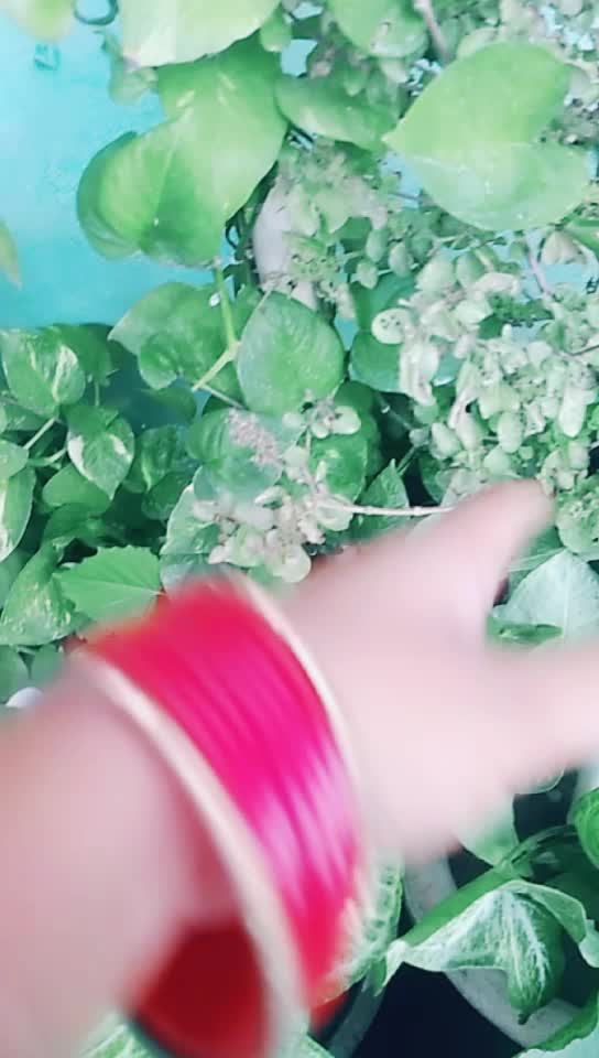 @smart girl pihu