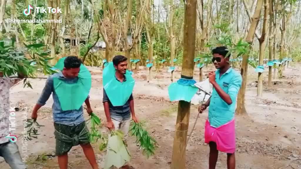 @Shajahan Vkm