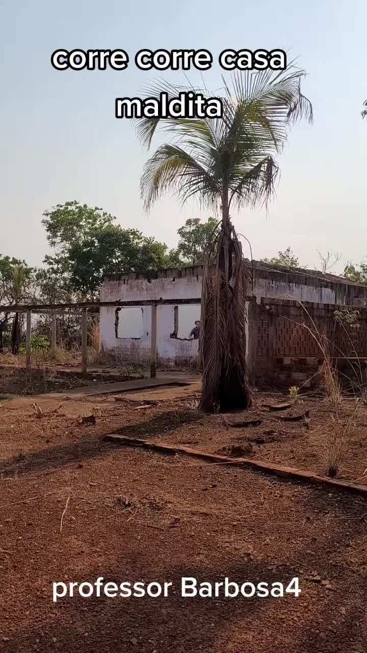 @Professor Barbosa4